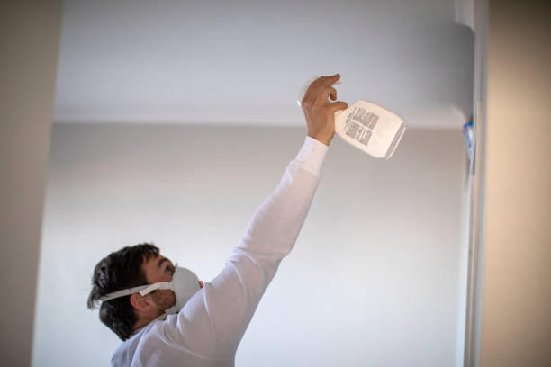 Best Black Mold Removal  in Beckett Ridge, OH