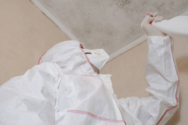 Best Attic Mold Removal  in Beckett Ridge, OH