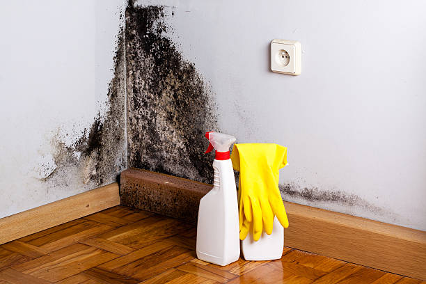 Mold Testing and Removal in Beckett Ridge, OH